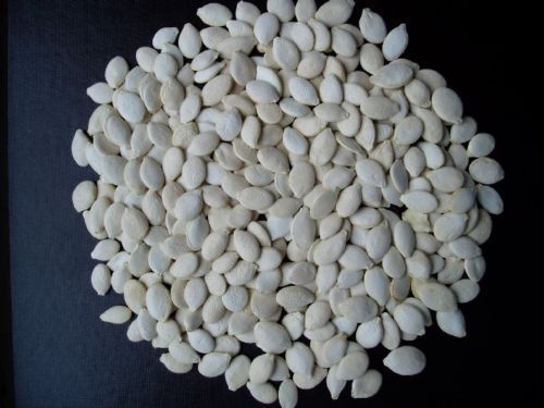  Pumpkin Seeds (Graines de citrouille)