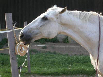 Salt Kerzenlampen (Salt Kerzenlampen)