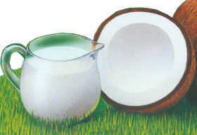  Coconut Milk (Кокосовое молоко)