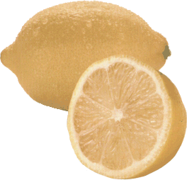  Lemons (Citrons)