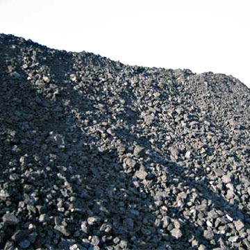  Coal (Charbon)