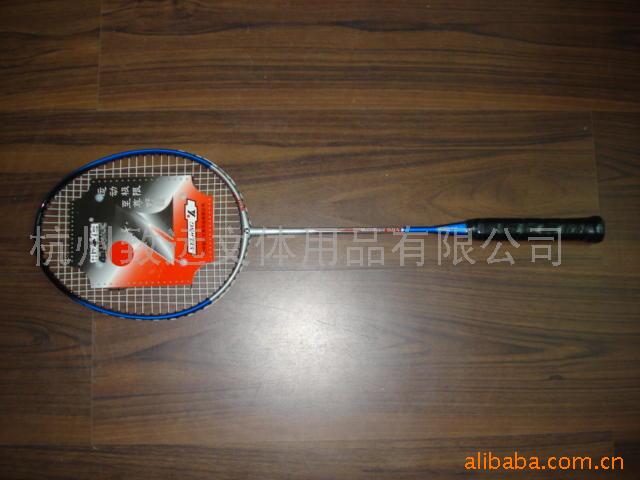 Alu Badminton Racket (Alu Badminton Racket)