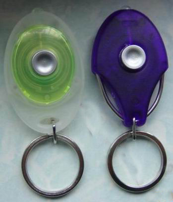  Flash Key Chain (Flash Key Chain)