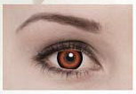  Cosmetic Contact Lens