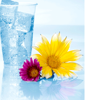  Mineral Water Pp Cups ( Mineral Water Pp Cups)