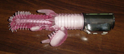  Sex Toy