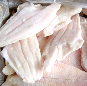  Catfish Fillets (Catfish Filets)