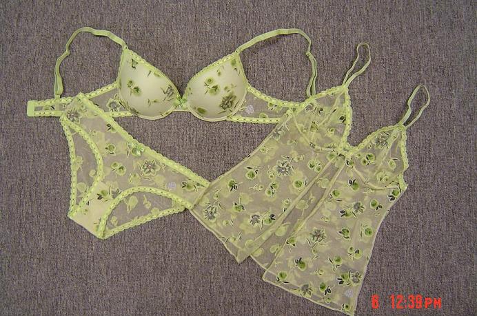  Mesh Print Lingerie Set