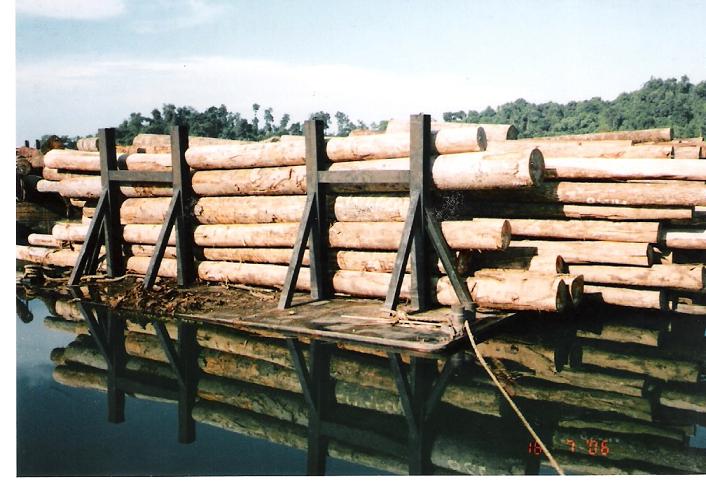  Round Log Timbers (Rondins Timbers)