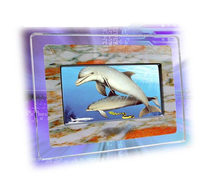 Digital Photo Frame (Df-072) (Digital Photo Frame (DF-072))
