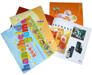  Magazine / Brochure / Catalogue (Magazine / Brochure / Catalogue)