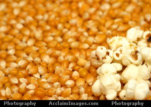  Popcorn (Popcorn)