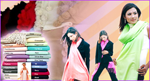 Genuine Pashmina Shawls / Scarves