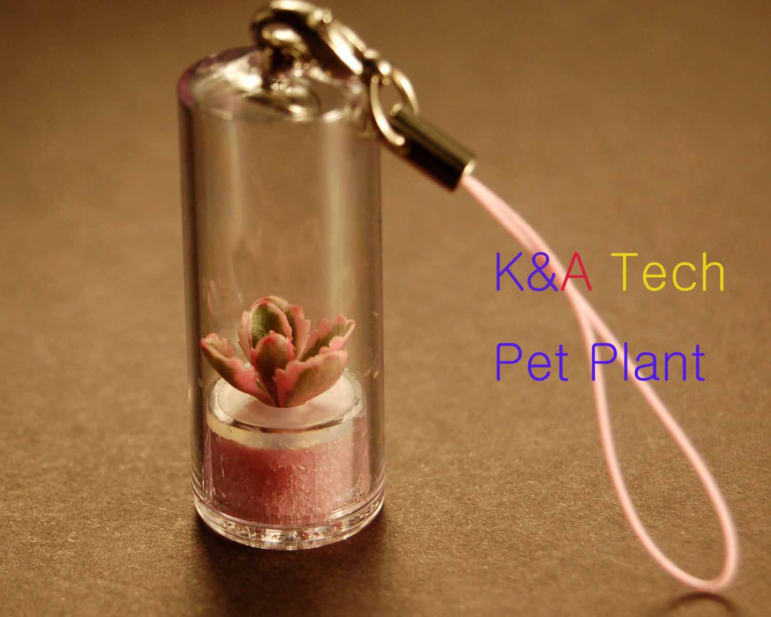  Pet Plant (Pet Plant)