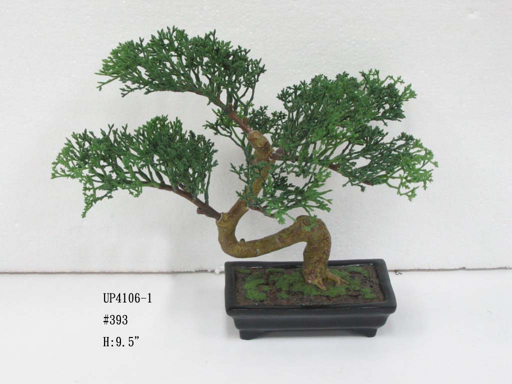  Bonsai (Bonsai)
