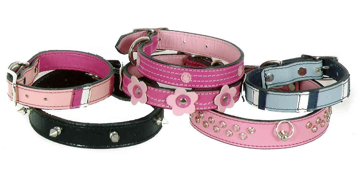  Dog Collars (Собаки ошейники)