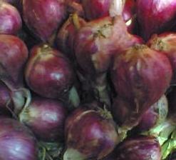  Indonesian Red Onion (Индонезийский Красный лук)