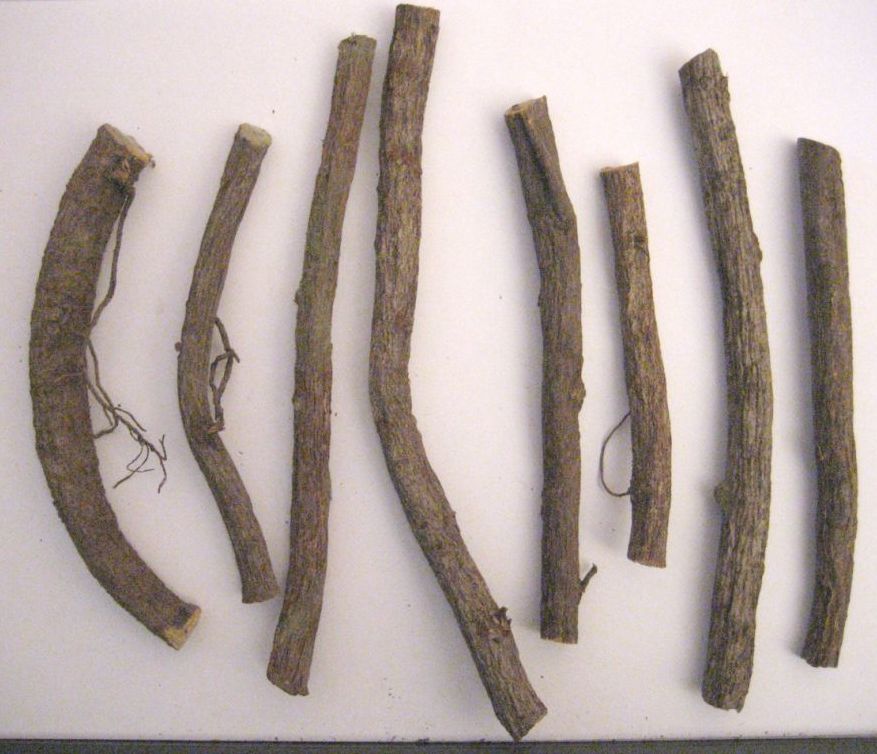 Azerbaijan Origin Liquorice Roots (Azerbaïdjan Origine Racines de réglisse)