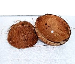  Coconut Shell (Кокос Shell)