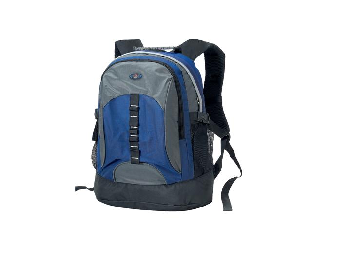  Laptop Backpack (Sac à dos pour ordinateur portable)