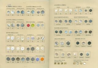  Real Shell Buttons