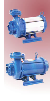 Horizontal Mono Block Submersible Pump Sets (Horizontal Mono Block Tauchpumpe Sets)
