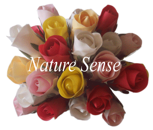  Scent Flower (Scent Blumen)