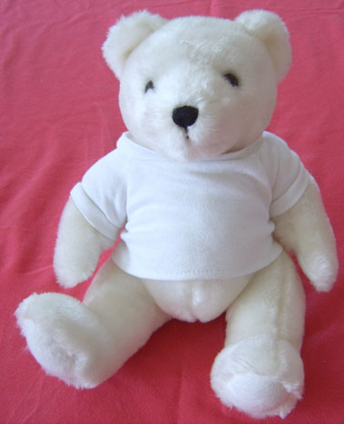  All Kinds Of Teddy Bear With T-Shirt
