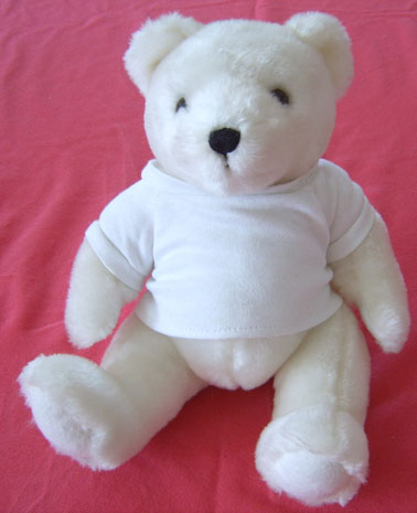  All Kinds Of Teddy Bear With T-Shirt ( All Kinds Of Teddy Bear With T-Shirt)