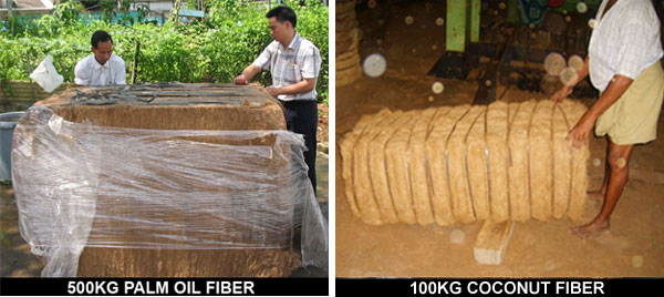  Palm Fiber (Palm Fiber)