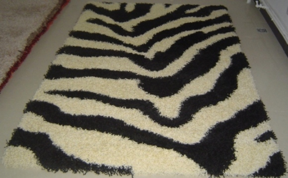  Shaggy Rug (Shaggy Tapis)