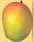  Alphanso And Kesar Mango (Alphanso Und Kesar Mango)