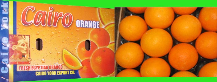  Orange (Апельсин)