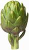  Artichoke (Artichaut)