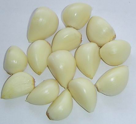  Organic Fresh Garlic (Frische Bio-Knoblauch)