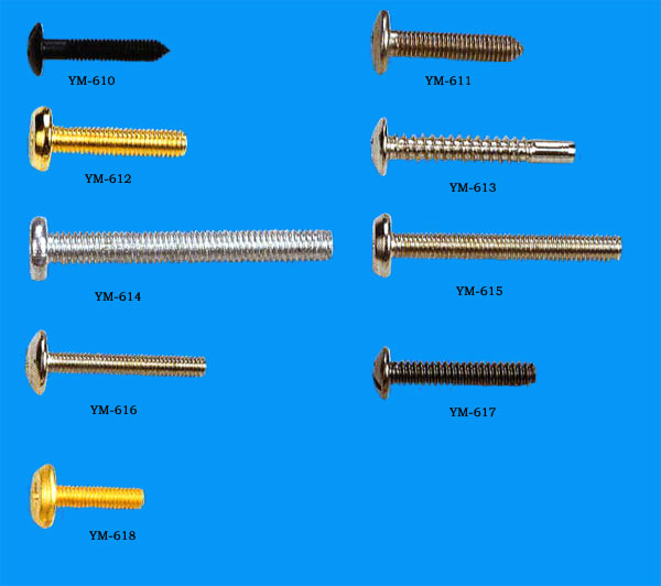  Screw ( Screw)