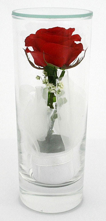 Preserve-Dried Flower In Glaswaren (Preserve-Dried Flower In Glaswaren)