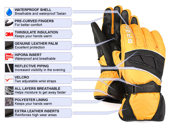  Ski Glove (Ski Glove)