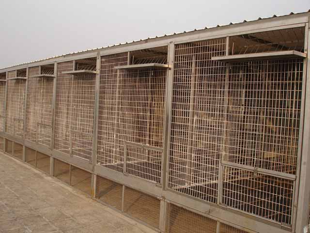 Pigeon Aviary (Pigeon Voliere)