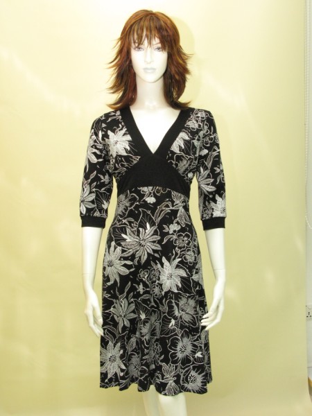  Ladies` Dress (Ladies `Dress)