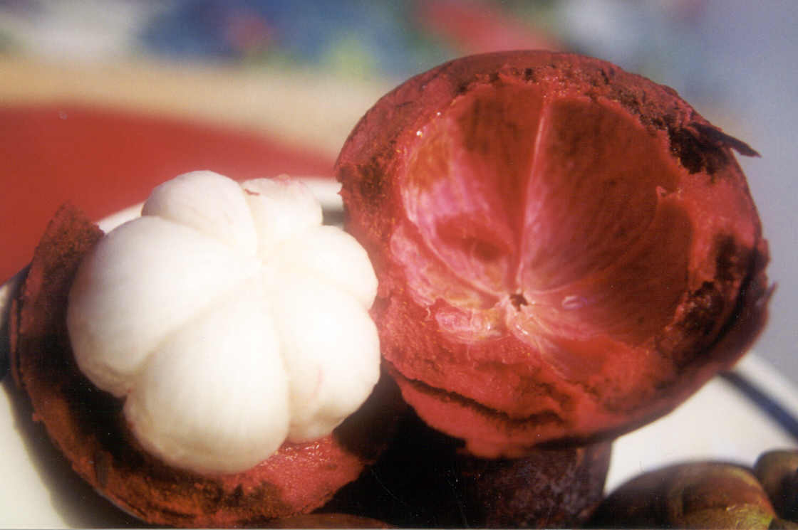 Mangosteen (Мангостан)