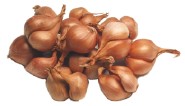  Onion / Shallots (Zwiebel / Schalotten)