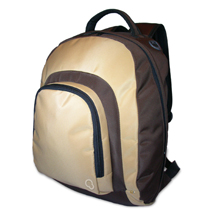  Laptop Backpack (Sac à dos pour ordinateur portable)