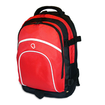  Laptop Backpack (Sac à dos pour ordinateur portable)