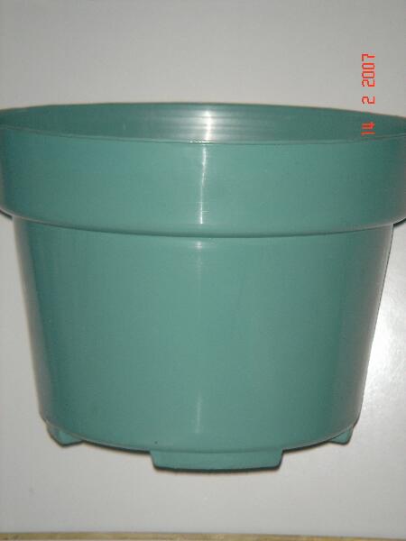  Flower Pots (Pots de fleurs)