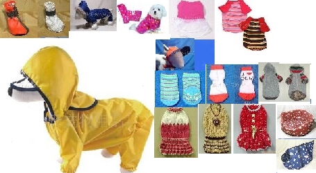  All Kinds Of Pet Product