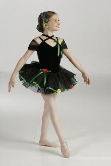  Customized Ballet Dancewear (Customized Ballet Dancewear)