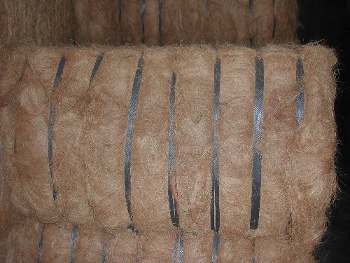 Coconut Fiber, Palm Fiber, Coconut Pith, Coconut Shell