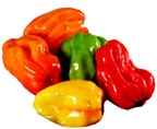  Scotch Bonnet ( Scotch Bonnet)