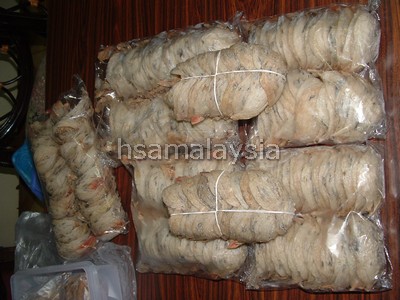 Bird Nest (Bird Nest)